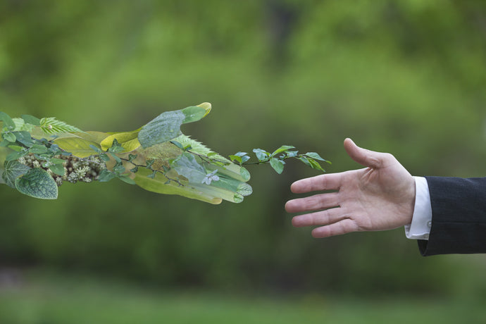 nature's hand and human hand before a hand shake representing our commitment to nature and environment | Lumiere Paris