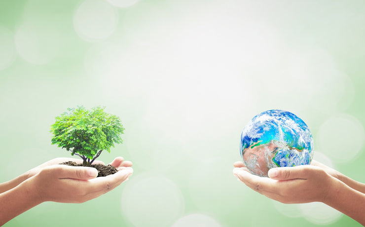 two pairs of hands holding a tree and earth representing a sustainability | Lumiere Paris