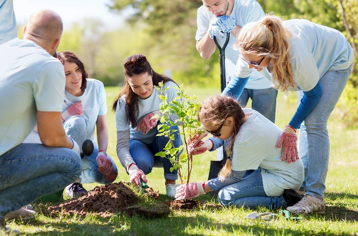 group of people plant a tree | Lumiere Paris